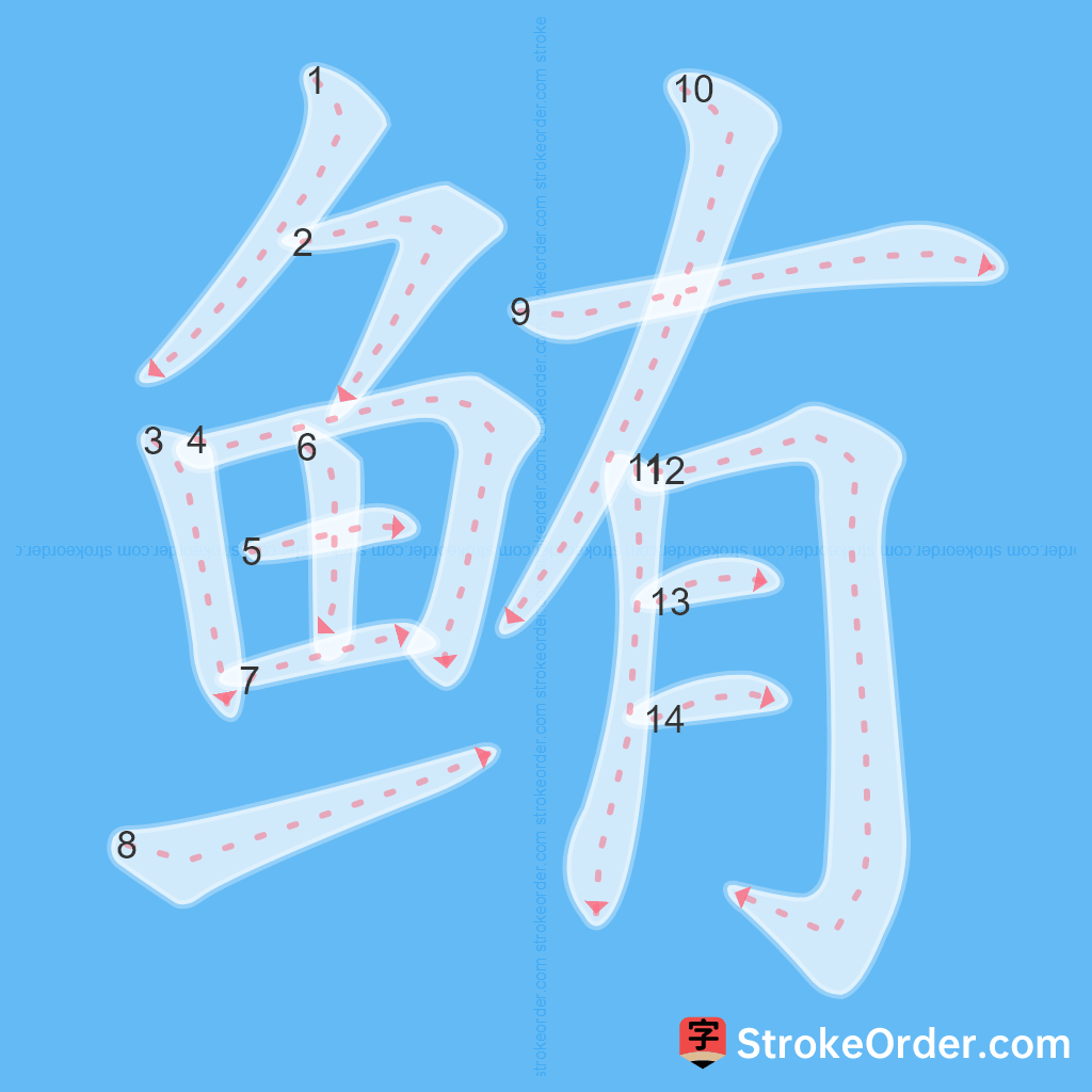 Standard stroke order for the Chinese character 鲔