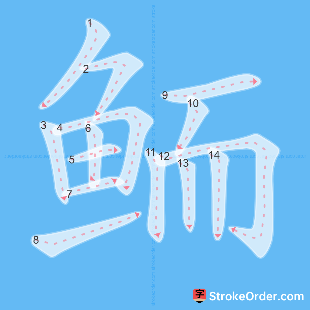 Standard stroke order for the Chinese character 鲕