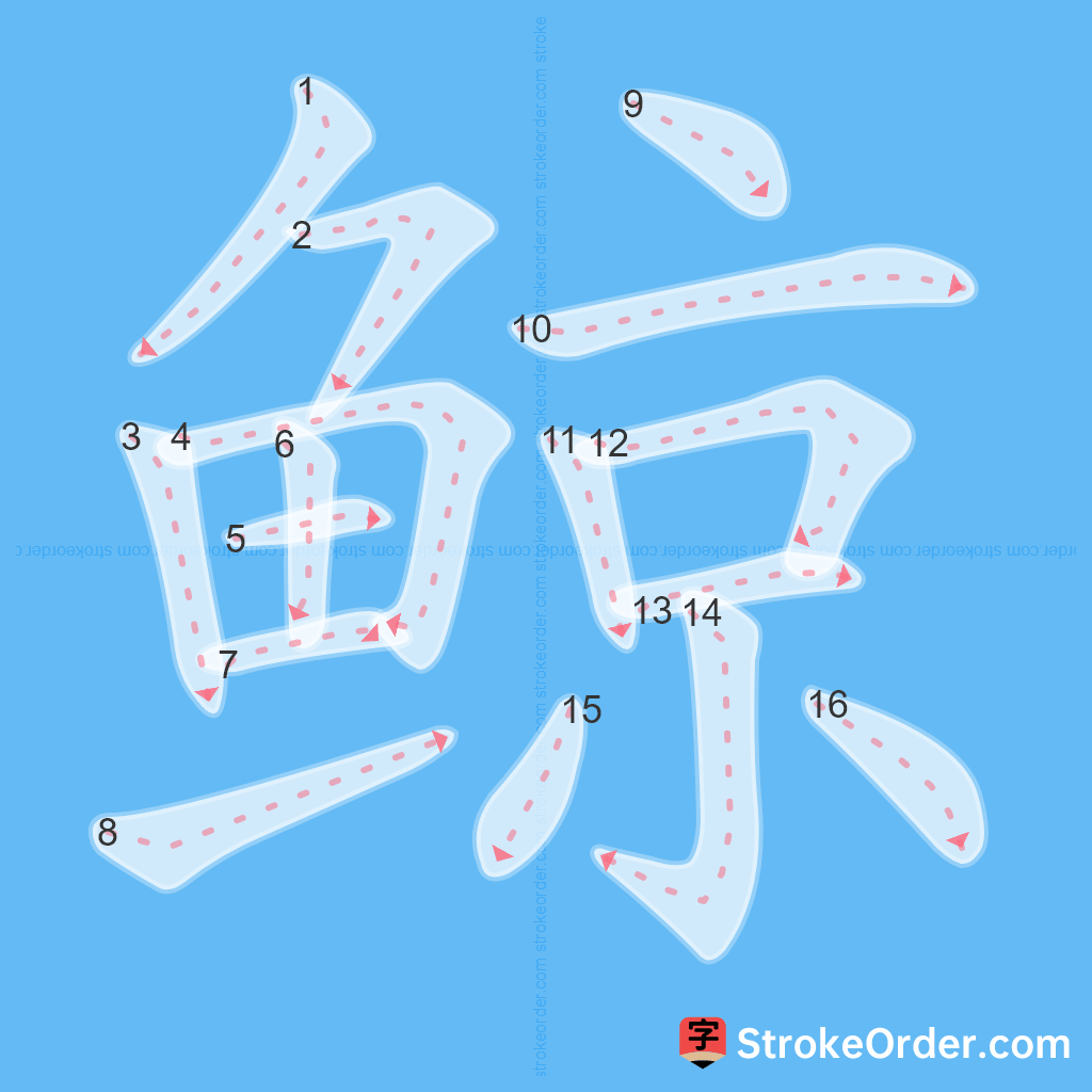 Standard stroke order for the Chinese character 鲸