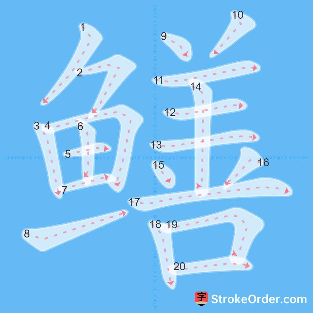 Standard stroke order for the Chinese character 鳝