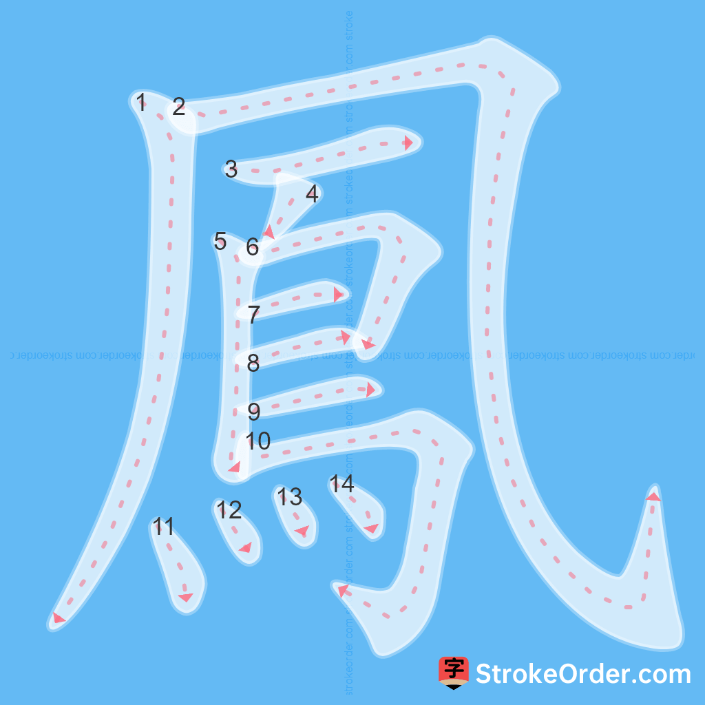 Standard stroke order for the Chinese character 鳳