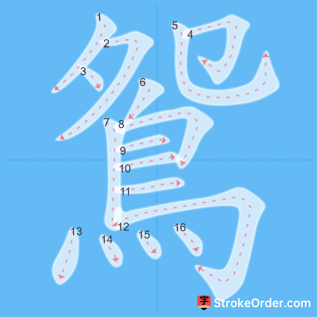 Standard stroke order for the Chinese character 鴛