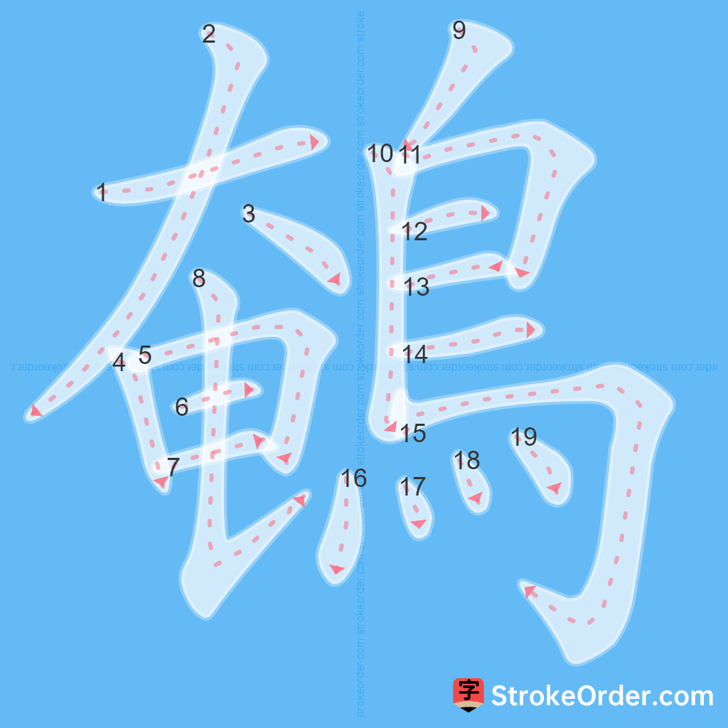 Standard stroke order for the Chinese character 鵪