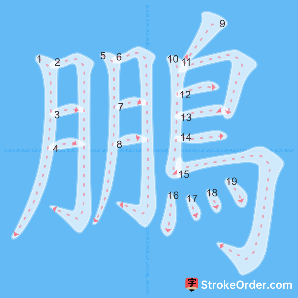 Standard stroke order for the Chinese character 鵬