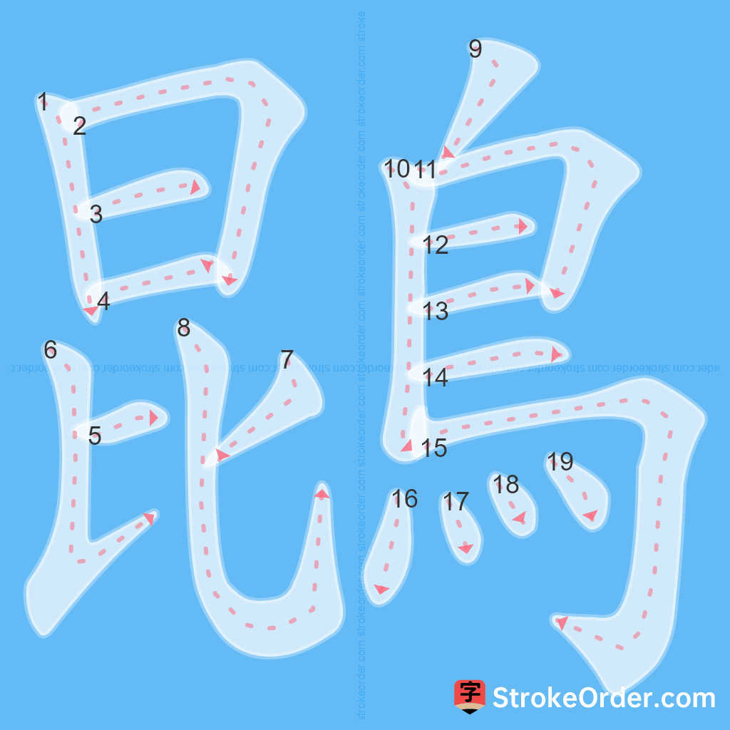 Standard stroke order for the Chinese character 鵾