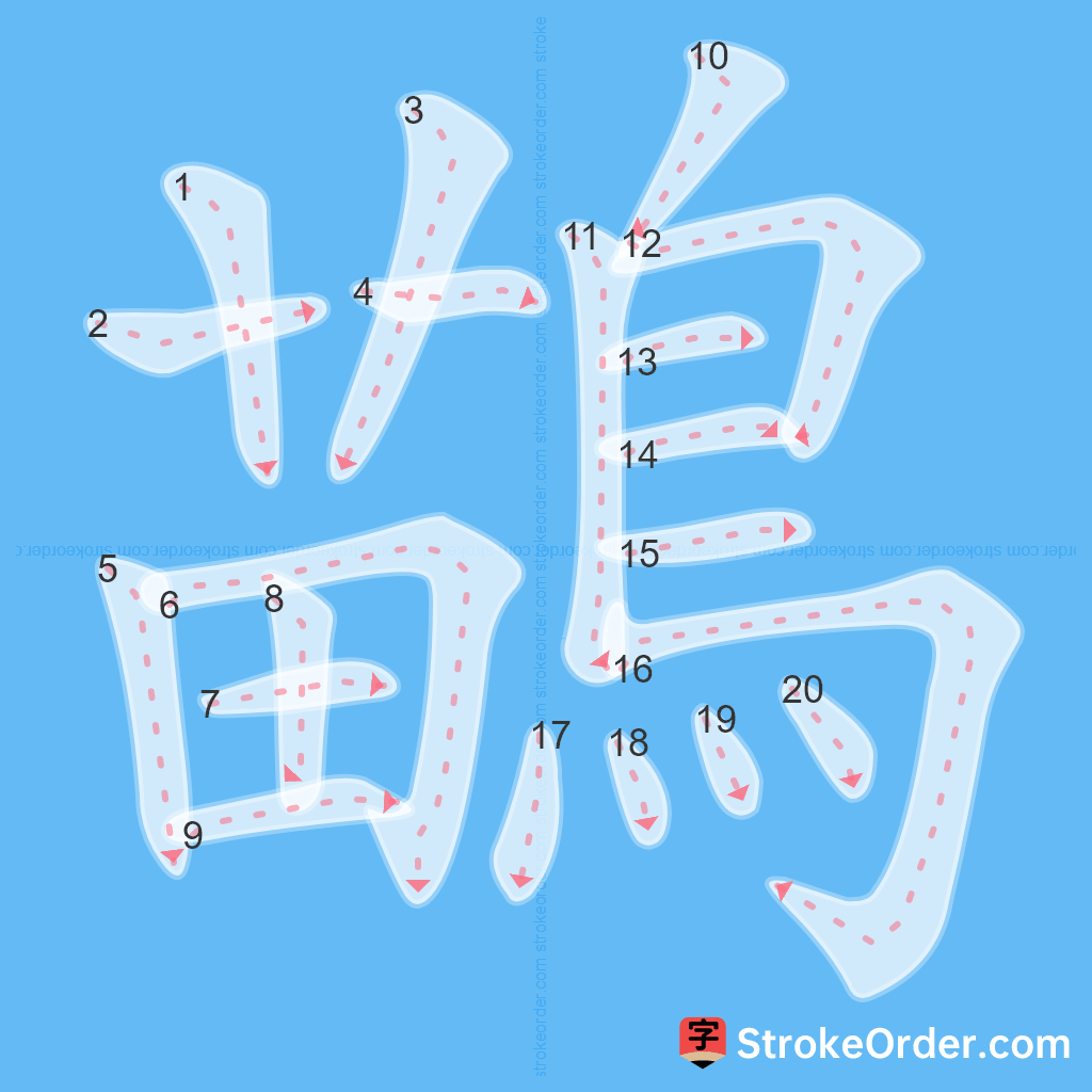 Standard stroke order for the Chinese character 鶓