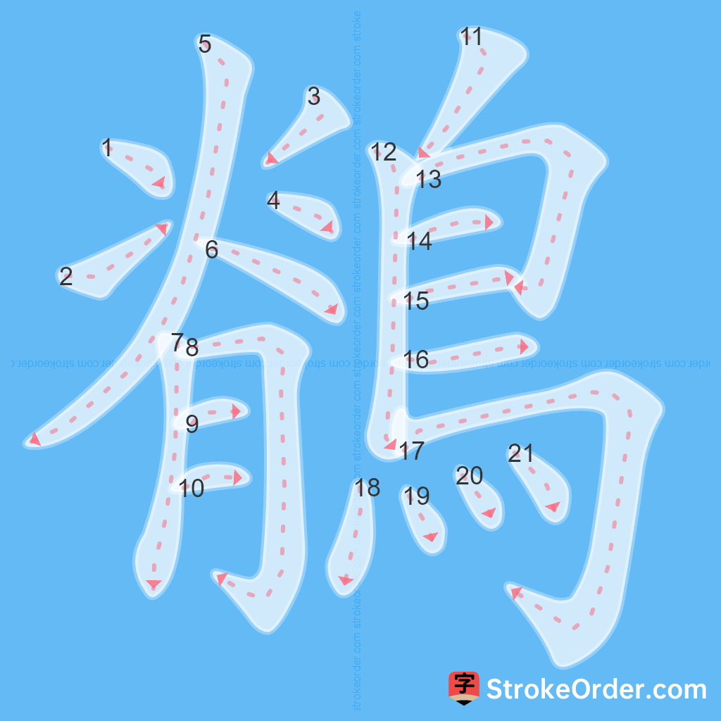 Standard stroke order for the Chinese character 鶺