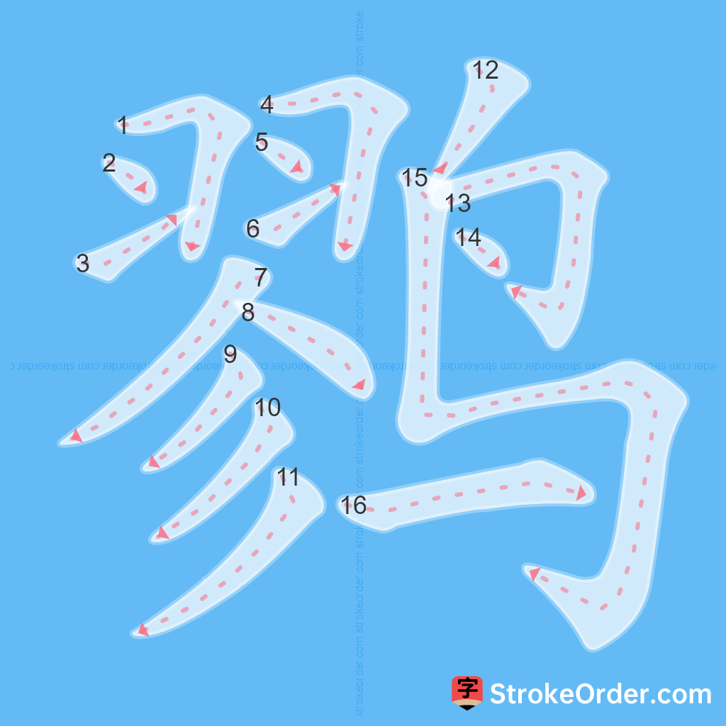 Standard stroke order for the Chinese character 鹨