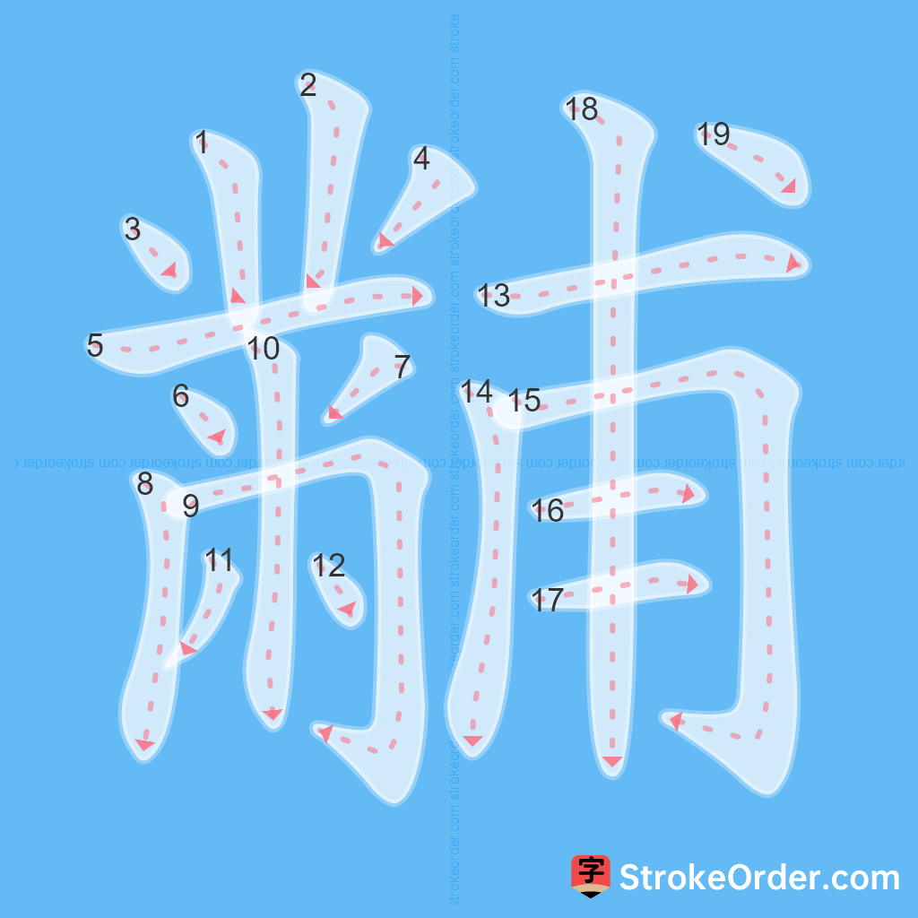 Standard stroke order for the Chinese character 黼