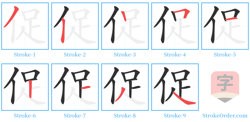 促 Stroke Order Diagrams