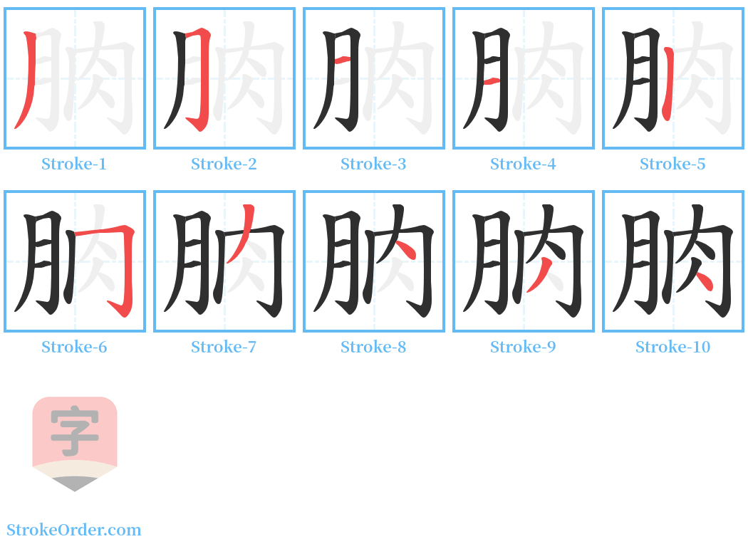 朒 Stroke Order Diagrams