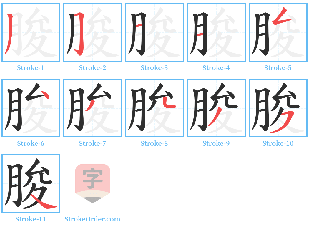 朘 Stroke Order Diagrams