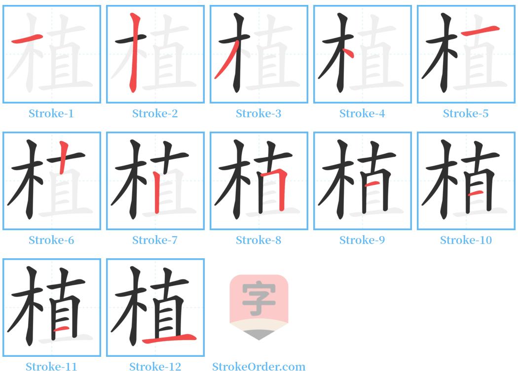 植 Stroke Order Diagrams