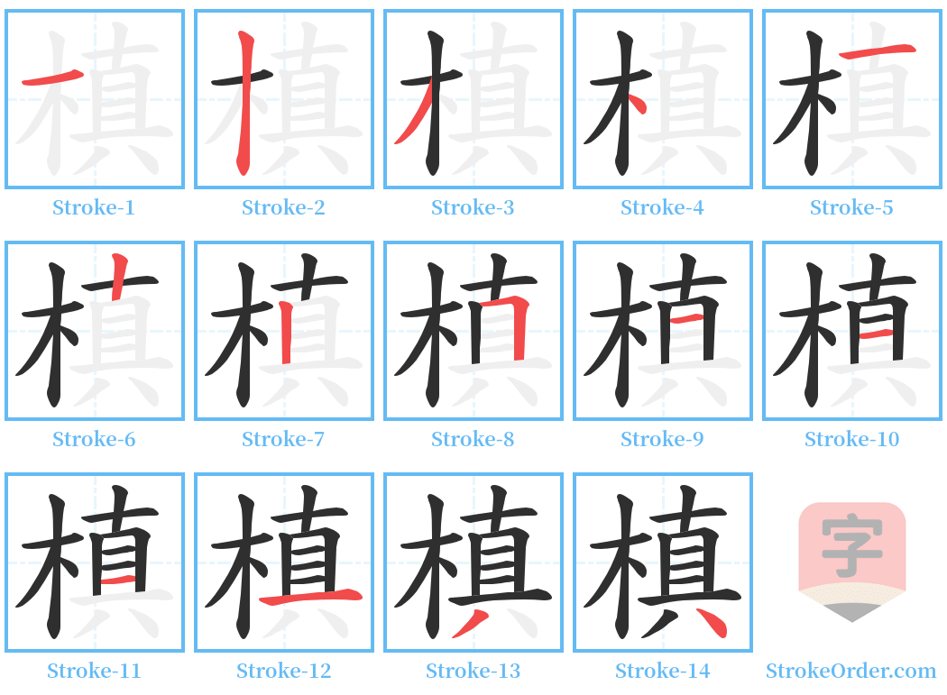 槙 Stroke Order Diagrams