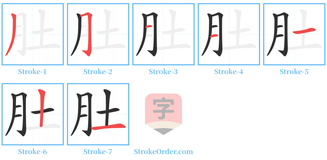 肚 Stroke Order Diagrams