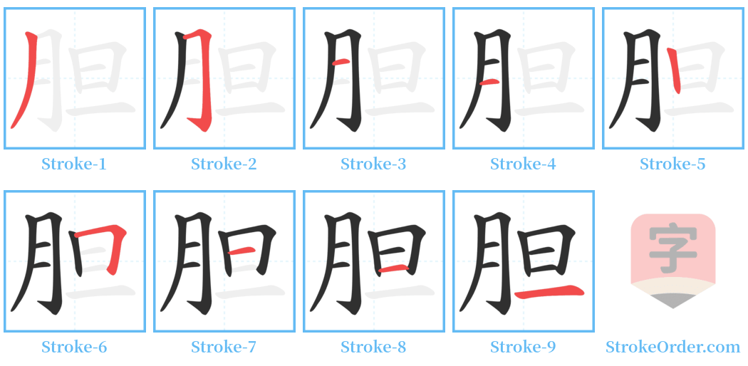 胆 Stroke Order Diagrams