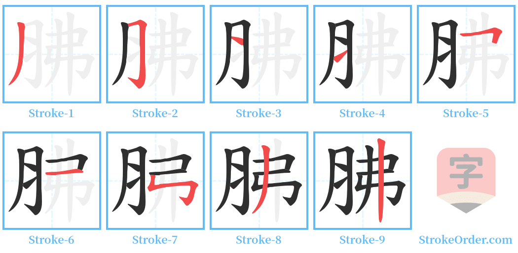 胇 Stroke Order Diagrams