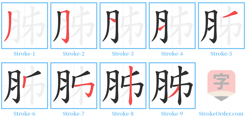 胏 Stroke Order Diagrams