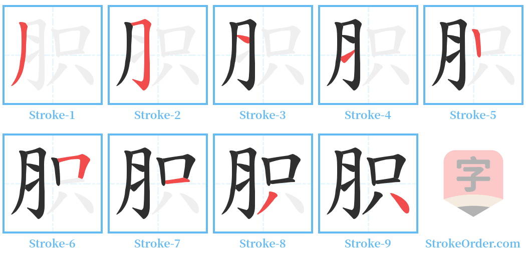 胑 Stroke Order Diagrams