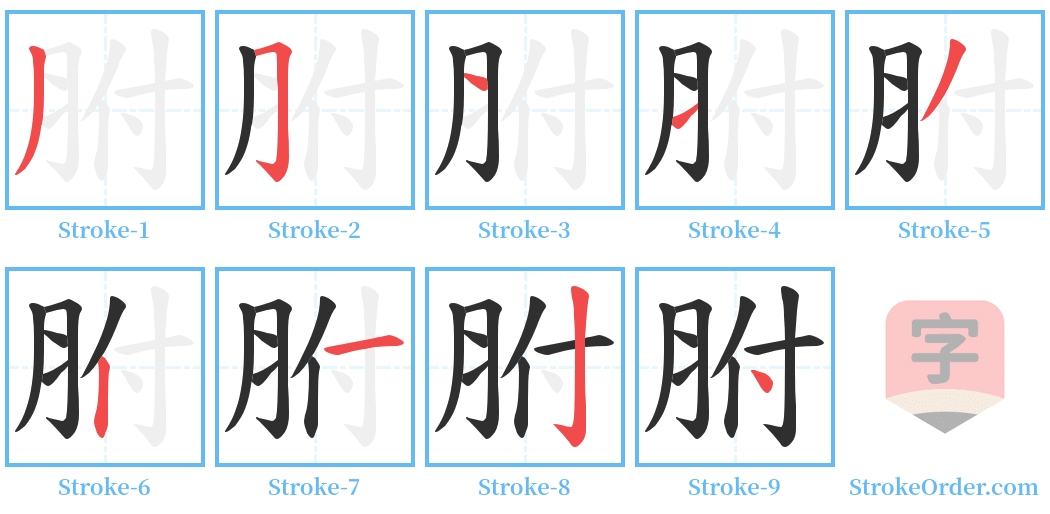 胕 Stroke Order Diagrams