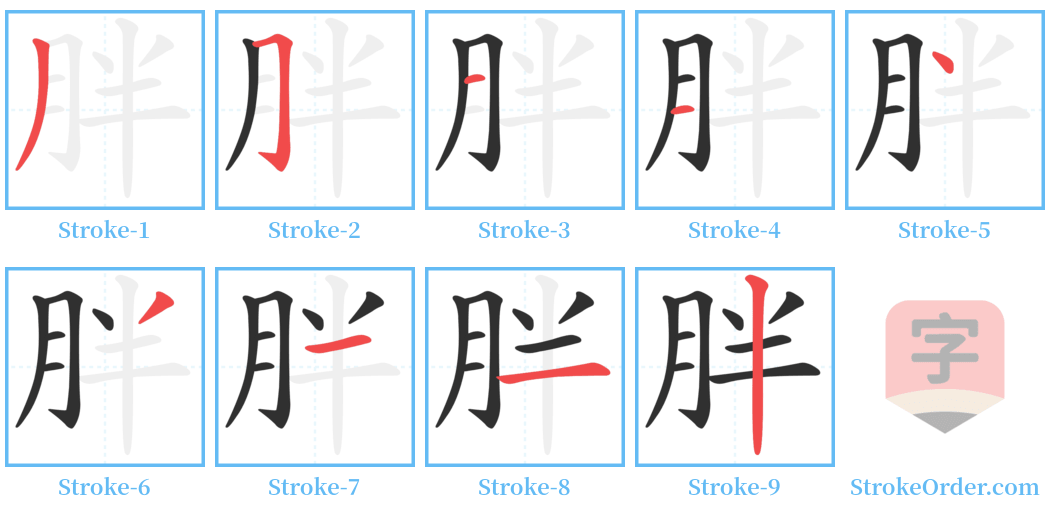 胖 Stroke Order Diagrams