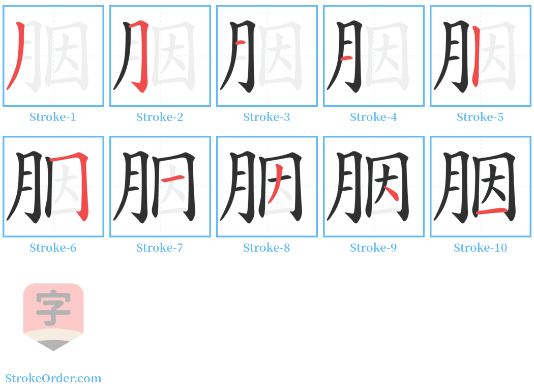 胭 Stroke Order Diagrams