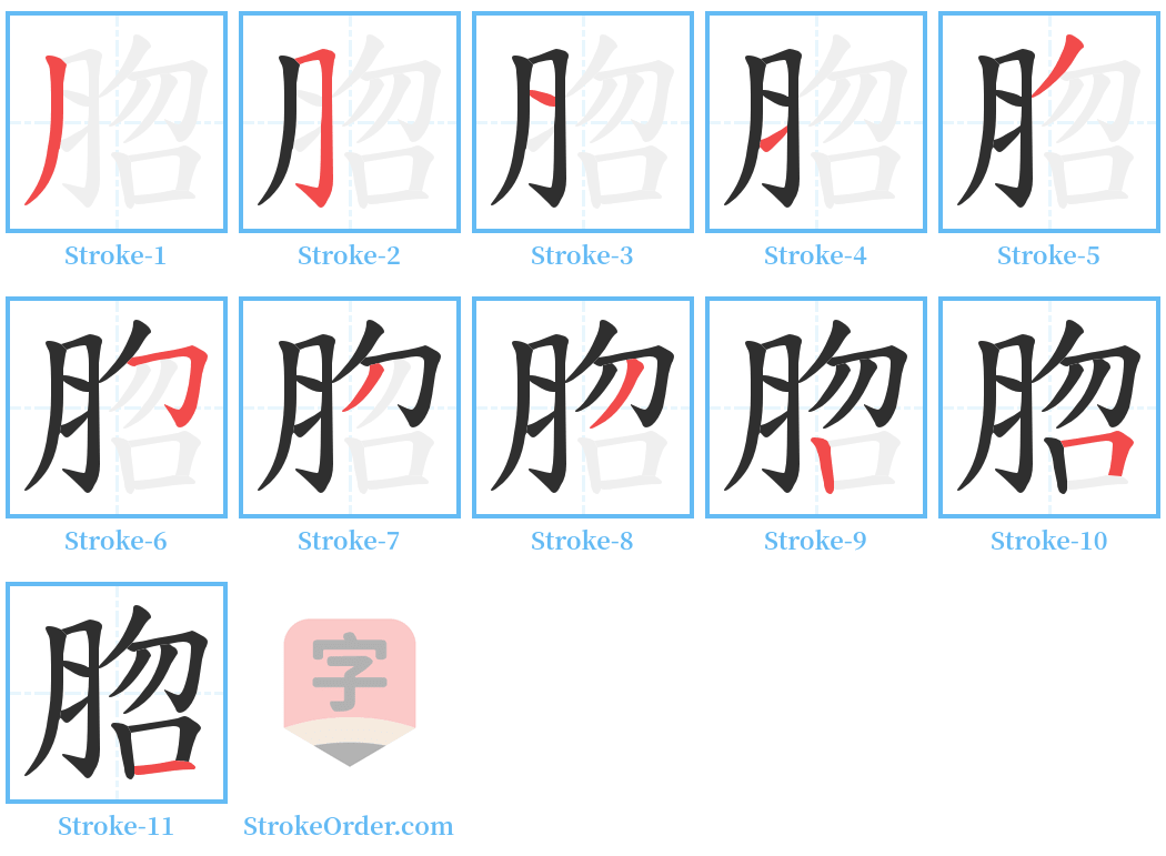 脗 Stroke Order Diagrams