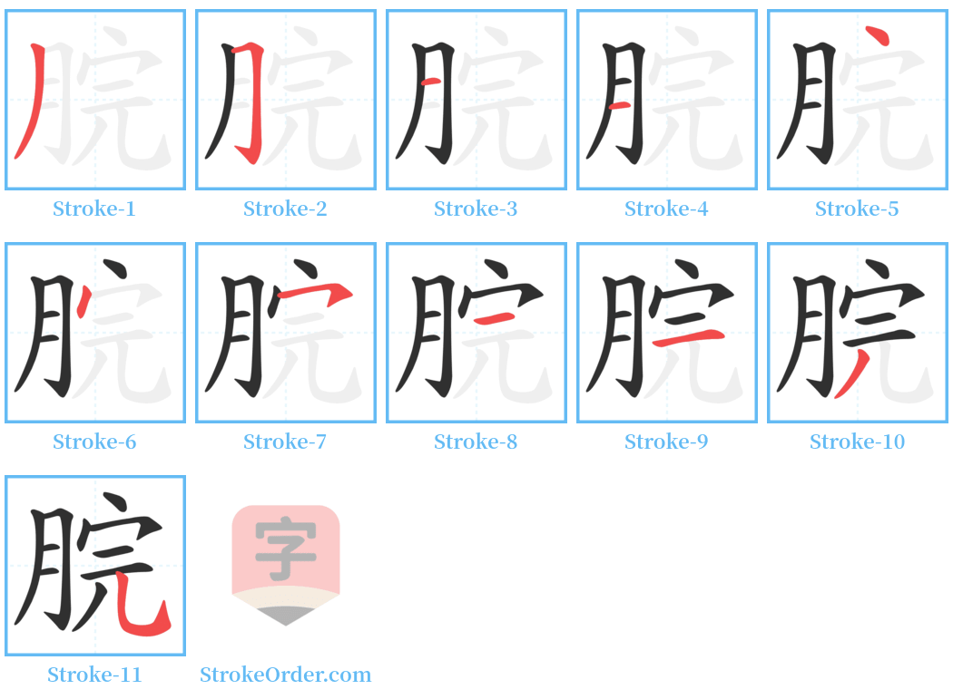 脘 Stroke Order Diagrams