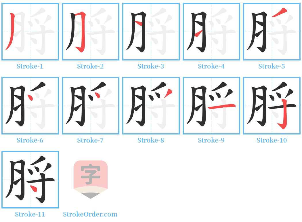 脟 Stroke Order Diagrams