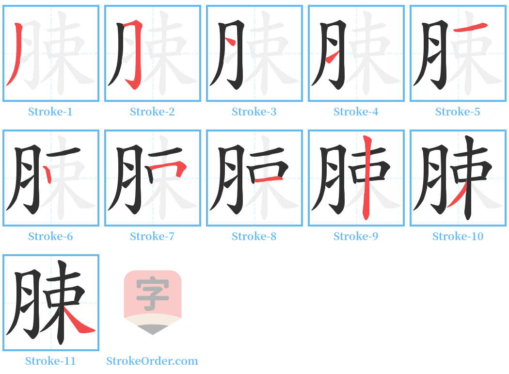 脨 Stroke Order Diagrams