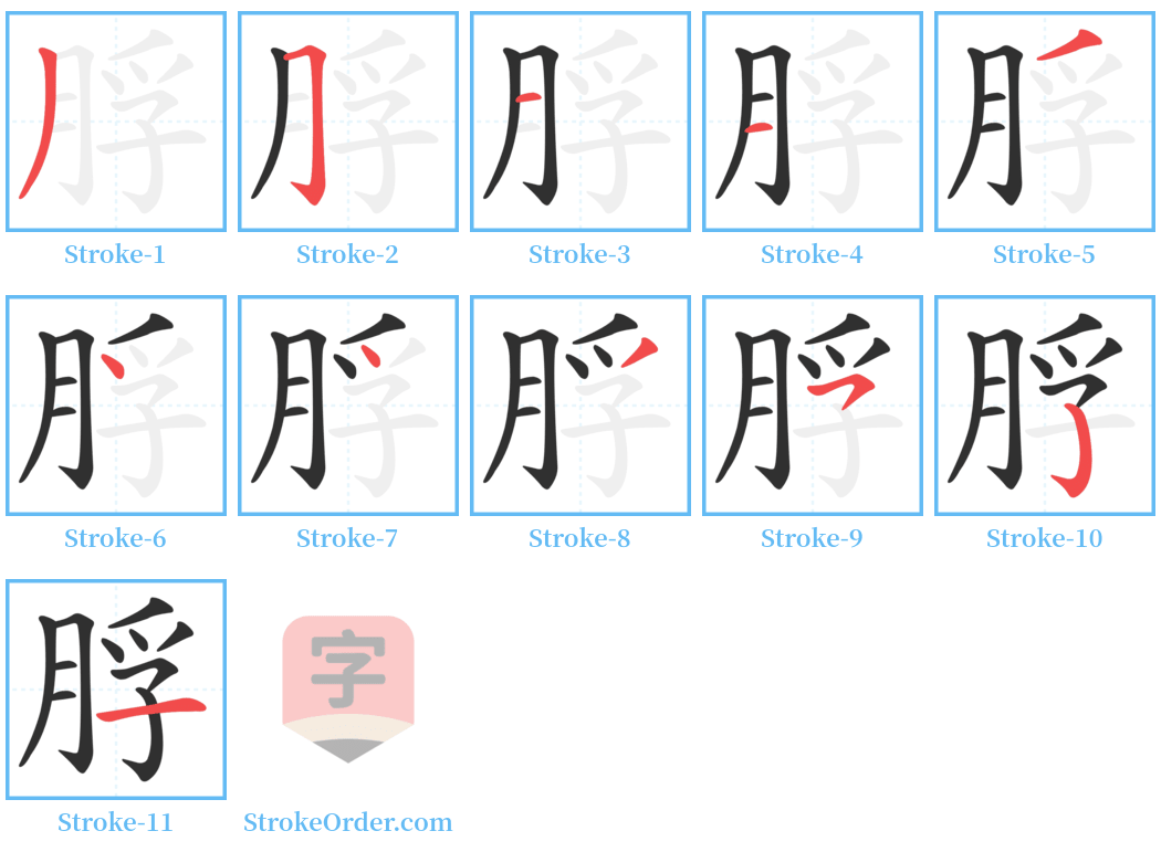 脬 Stroke Order Diagrams