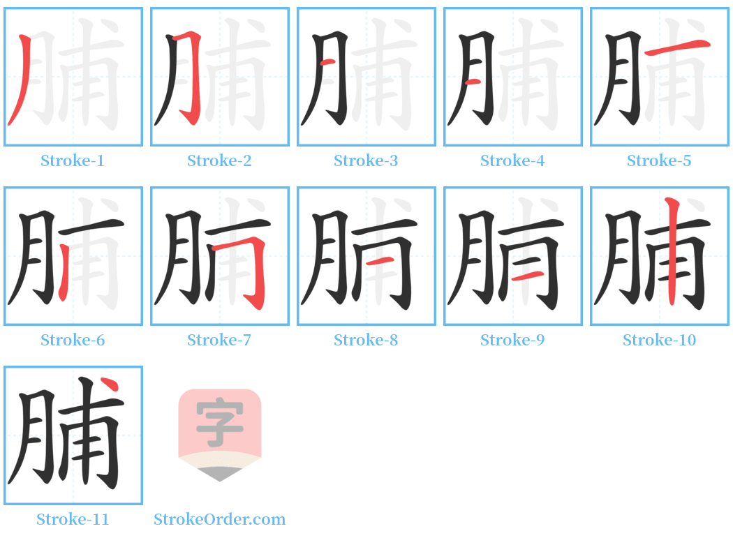 脯 Stroke Order Diagrams