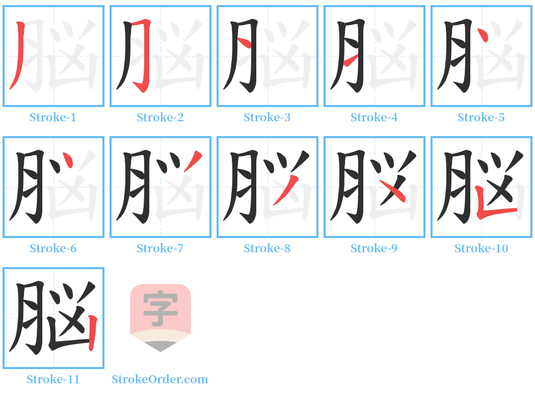 脳 Stroke Order Diagrams