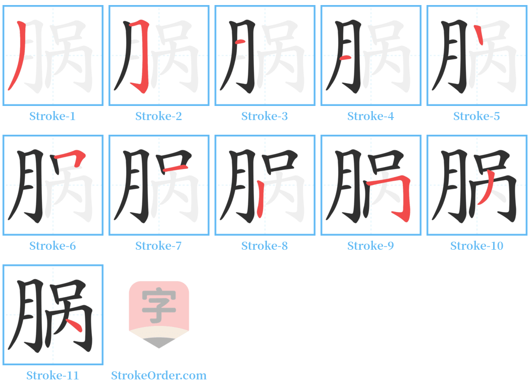 脶 Stroke Order Diagrams