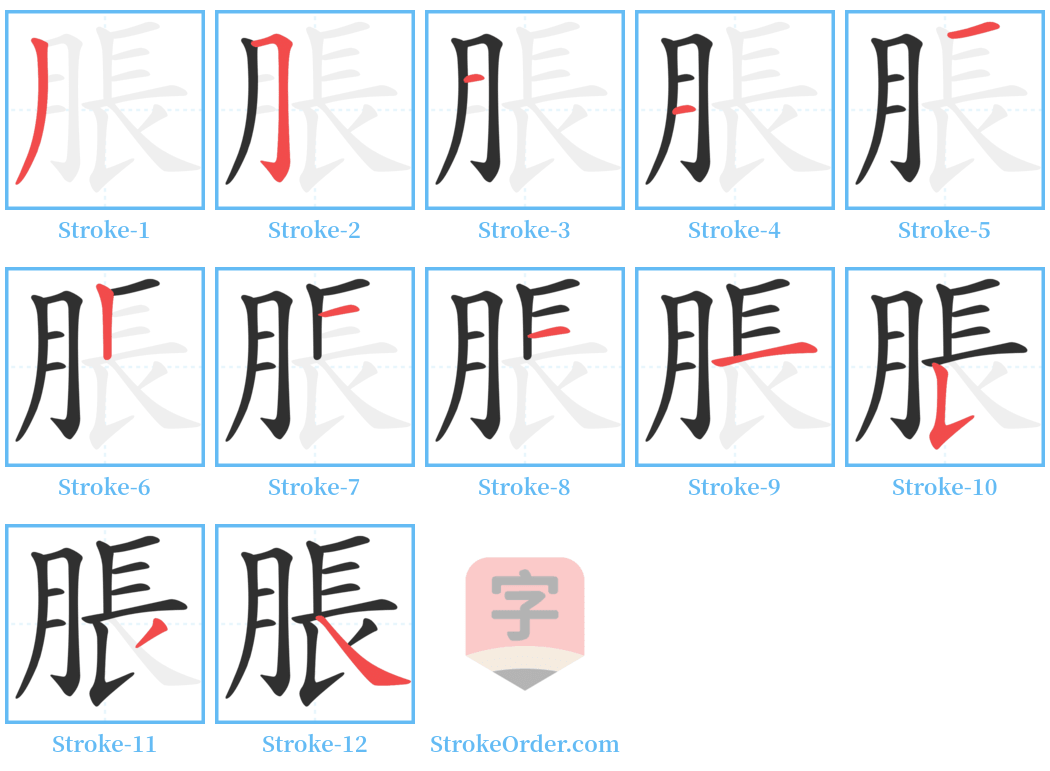 脹 Stroke Order Diagrams