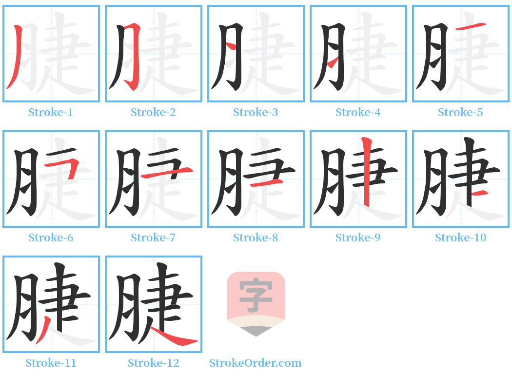 脻 Stroke Order Diagrams