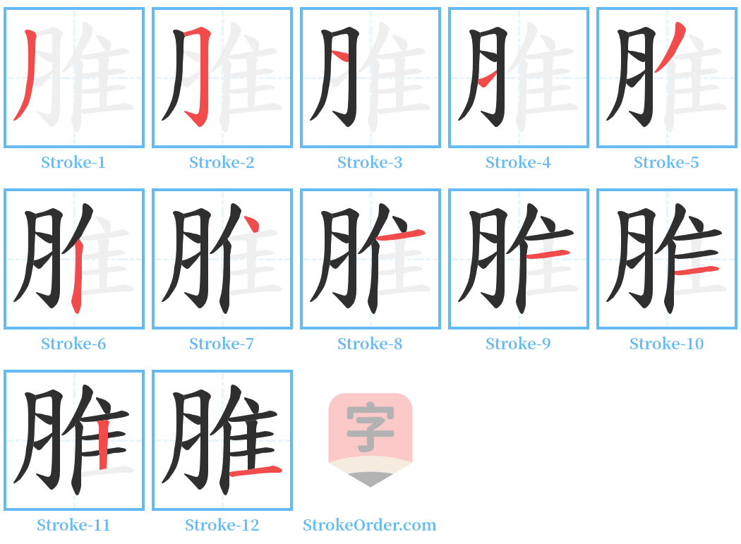 脽 Stroke Order Diagrams