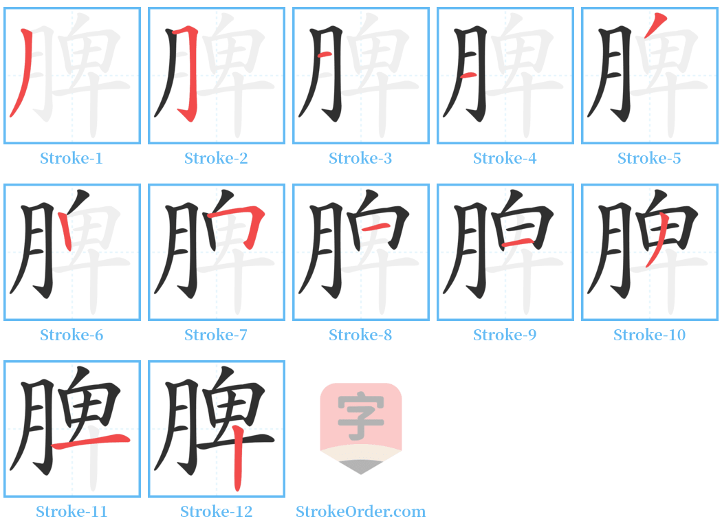 脾 Stroke Order Diagrams