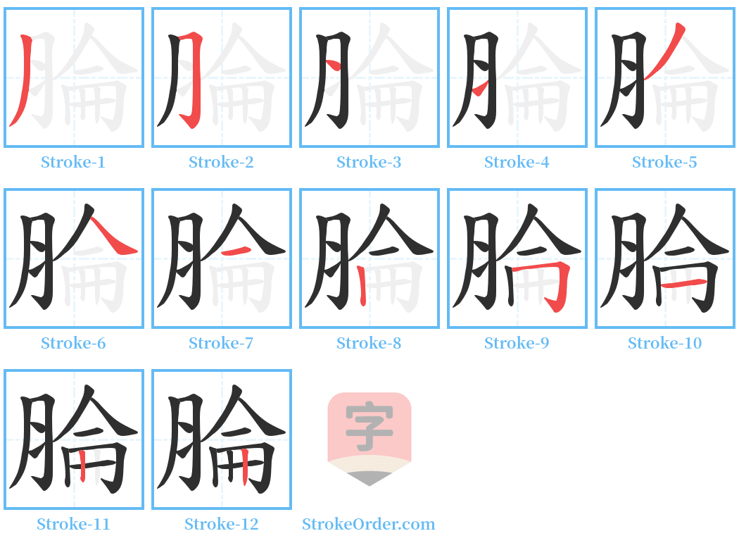 腀 Stroke Order Diagrams