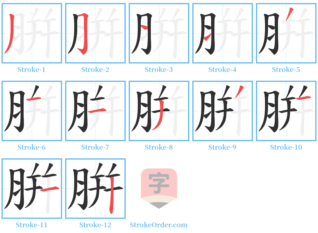 腁 Stroke Order Diagrams