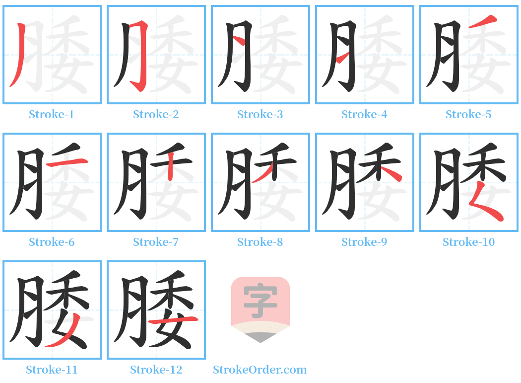 腇 Stroke Order Diagrams