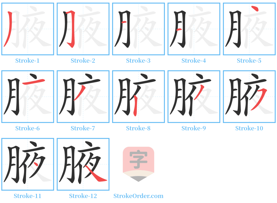 腋 Stroke Order Diagrams