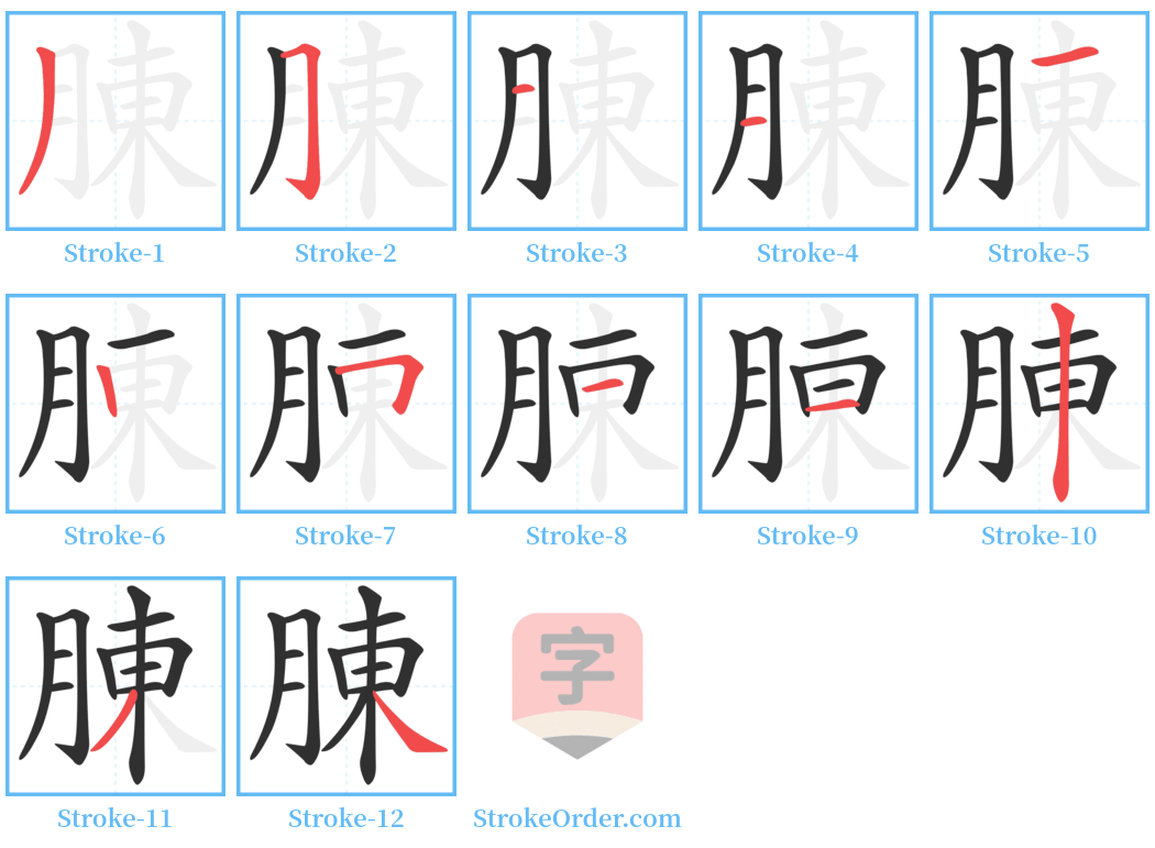 腖 Stroke Order Diagrams