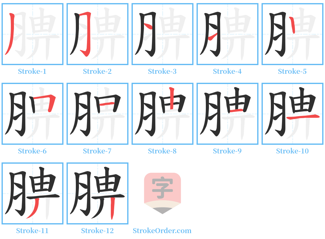 腗 Stroke Order Diagrams