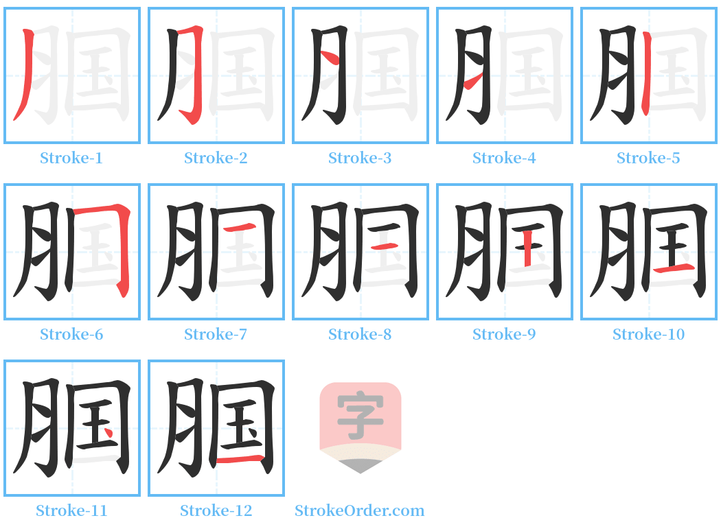 腘 Stroke Order Diagrams