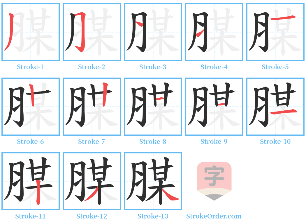 腜 Stroke Order Diagrams