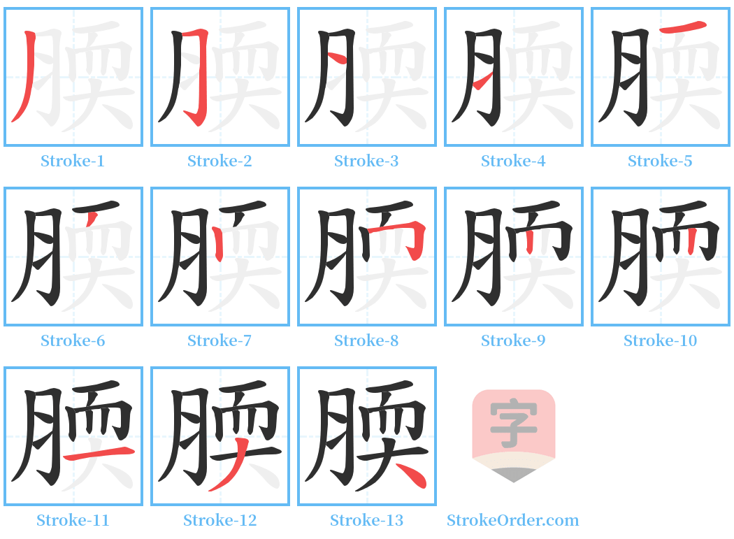 腝 Stroke Order Diagrams