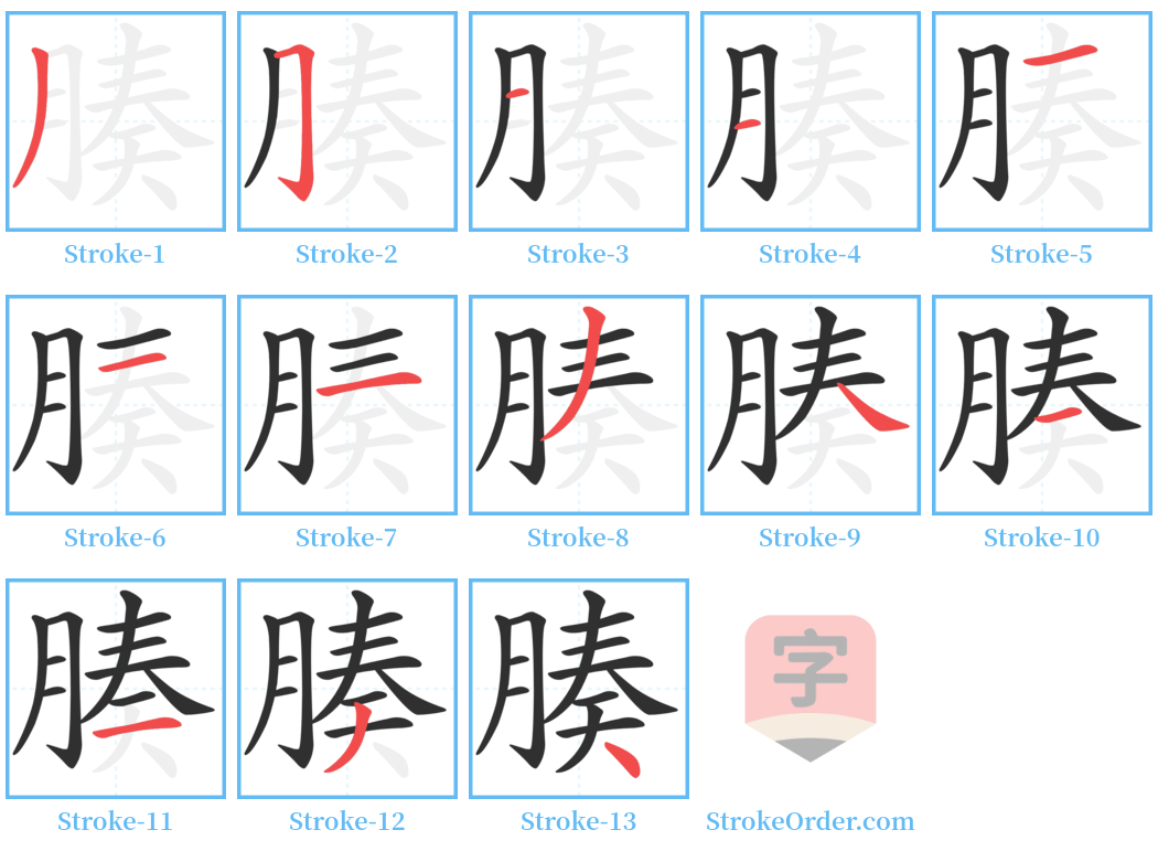 腠 Stroke Order Diagrams