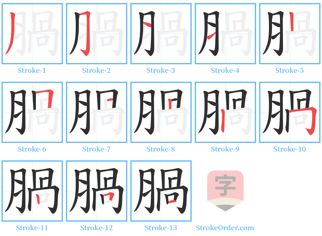 腡 Stroke Order Diagrams