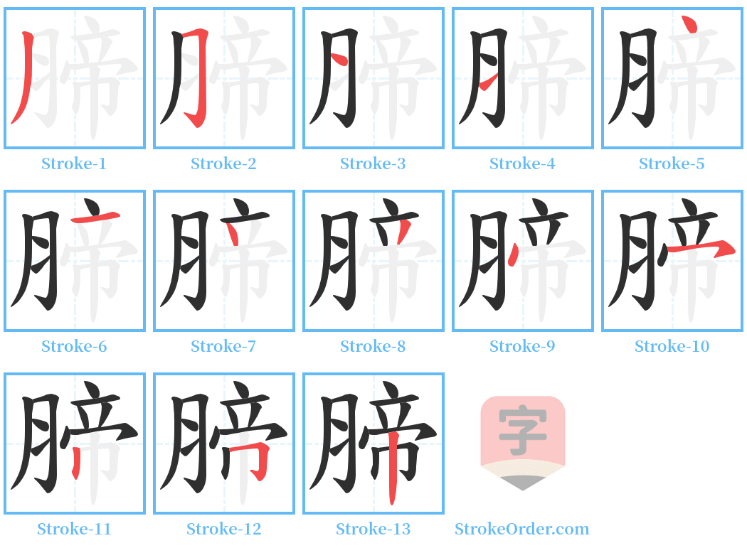 腣 Stroke Order Diagrams